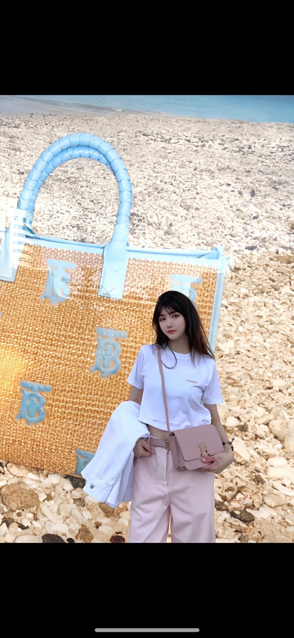 Dragons Bags Burberryn Luxury Bag --91648