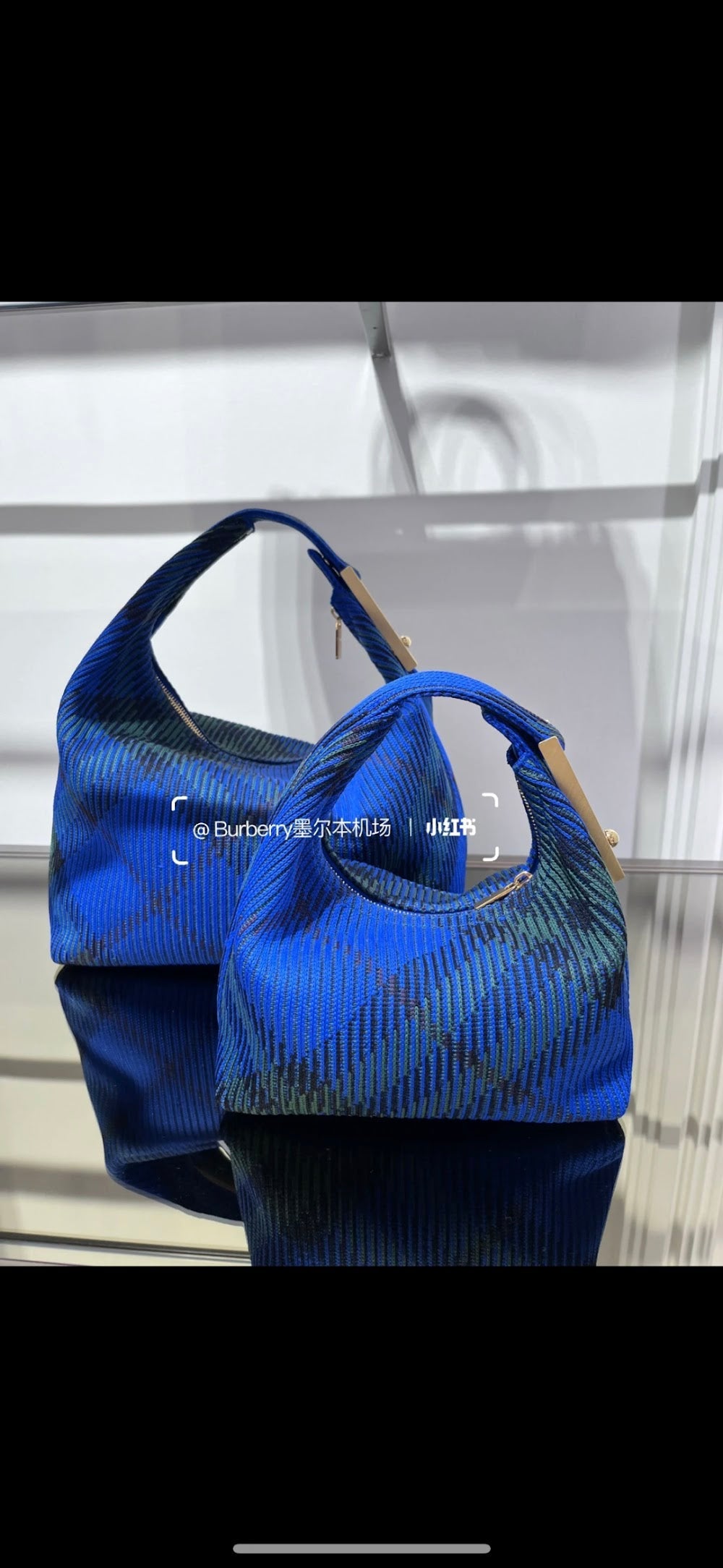 Dragons Bags Burberryn Luxury Bag --91571