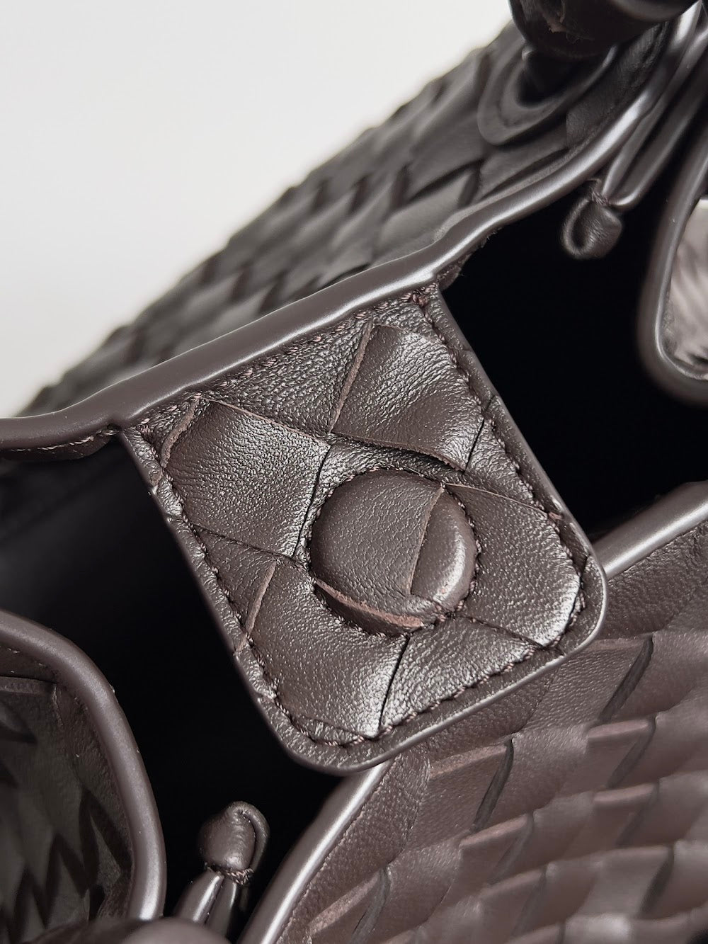 Dragons Bags Bottegan Luxury Bag --91080