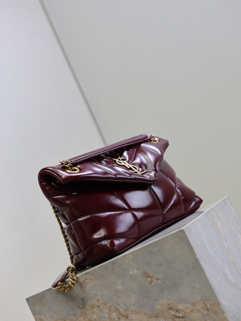 Dragons Bags YSLn Luxury Bag --119719