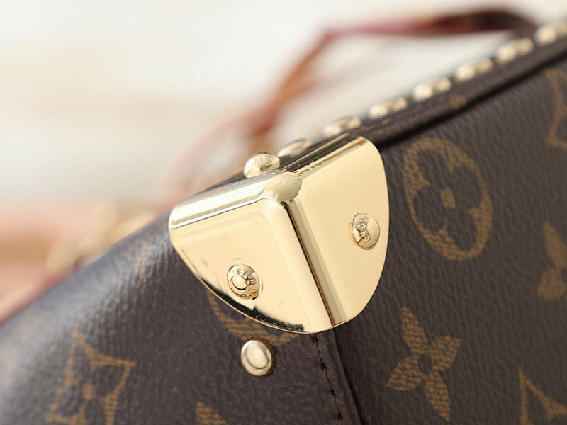 Dragons Bags LVn Luxury Bag --81137
