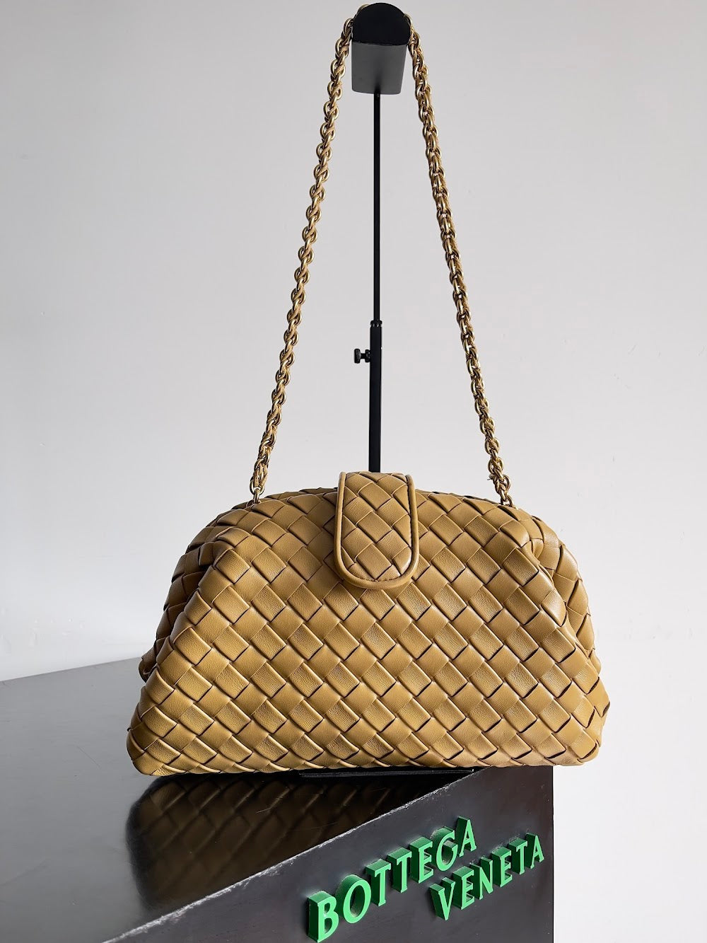 Dragons Bags Bottegan Luxury Bag --91087