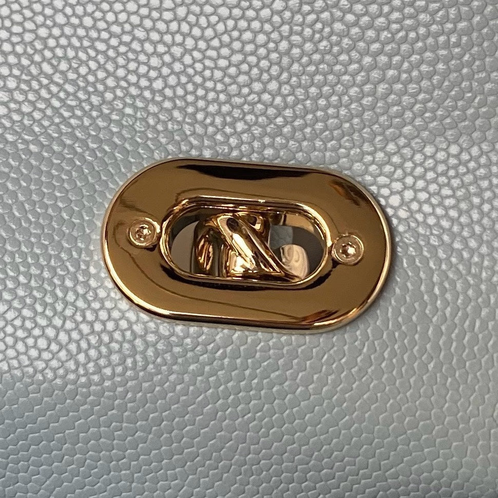 new-luxury-designer-bags-nm10061