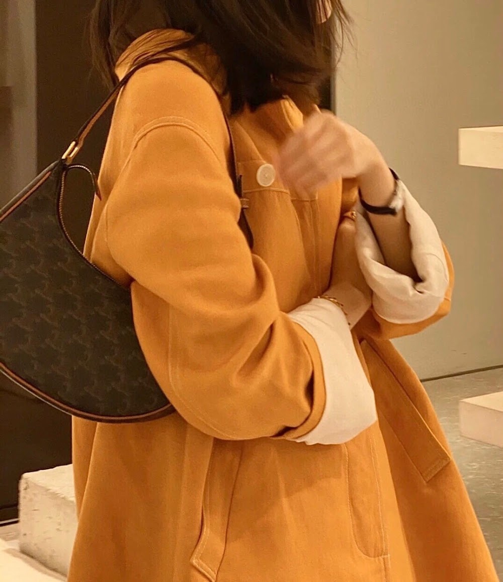 Dragons Bags Celine Luxury Bag --111968