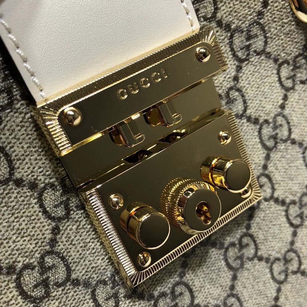 Dragons Bags Guccin Luxury Bag --95489