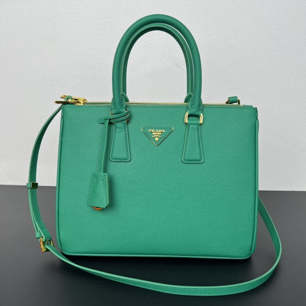Dragons Bags pradn Luxury Bag --73230