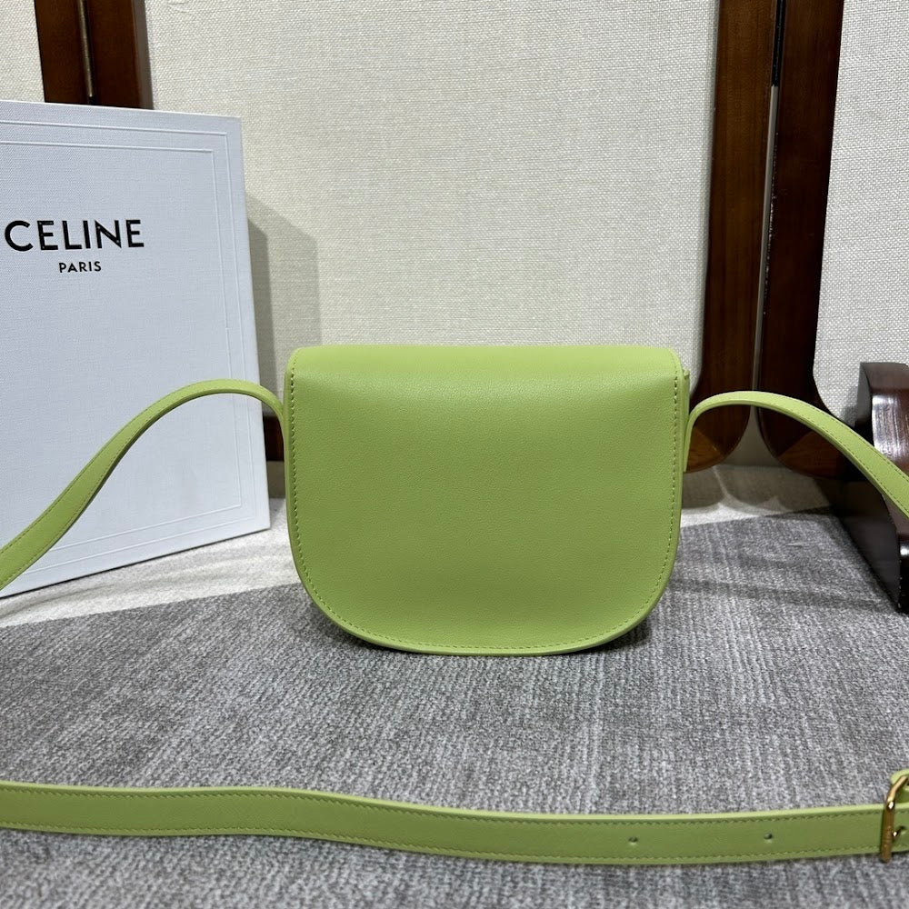 Dragons Bags Celine Luxury Bag --112248