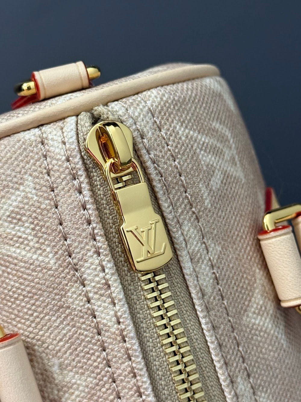 Dragons Bags ln Luxury Bag --96840