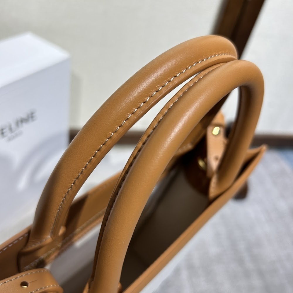 Dragons Bags Celine Luxury Bag --112513