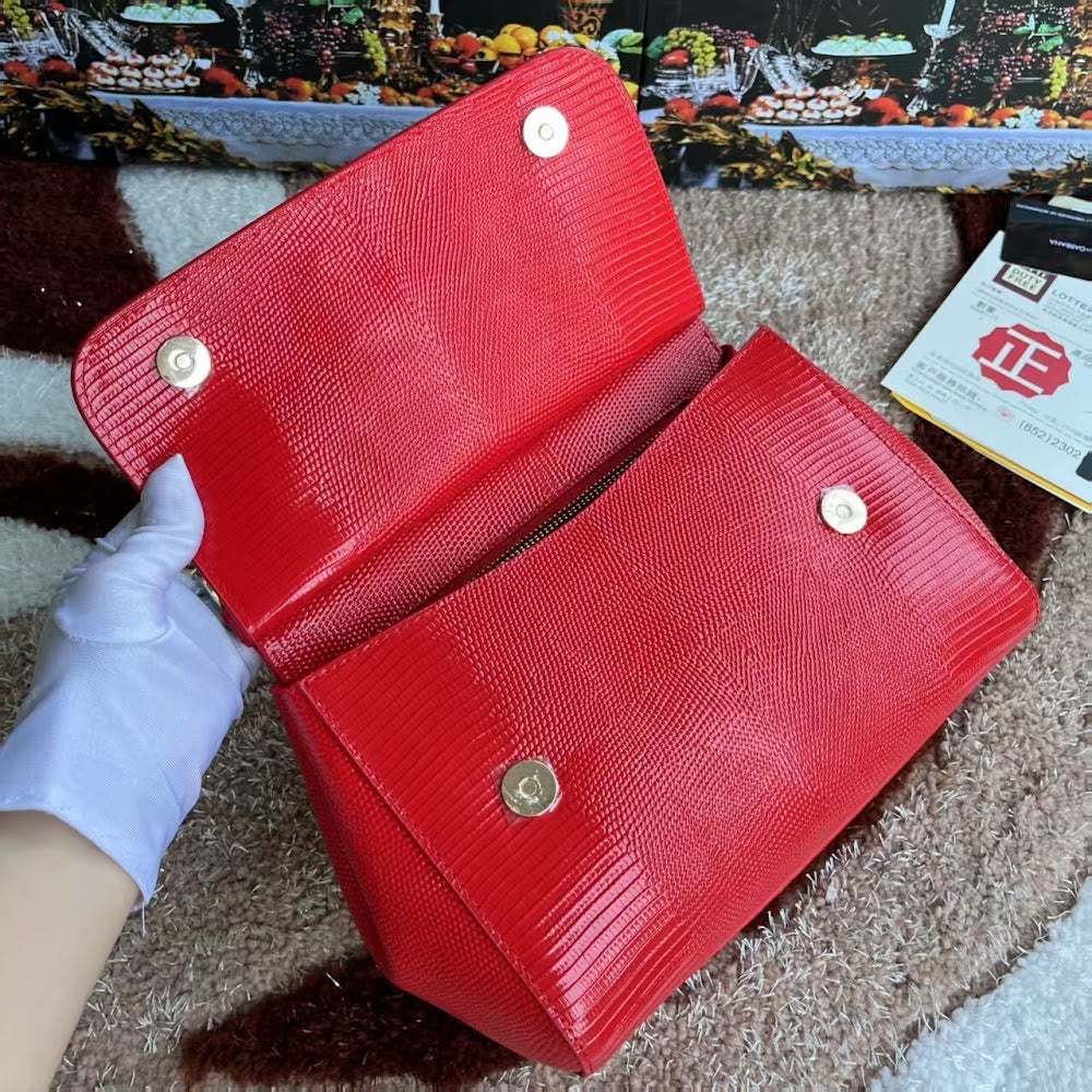 Dragons Bags DGn Luxury Bag --94042