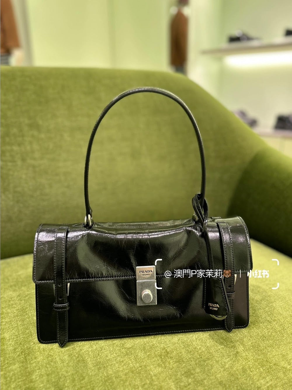 Dragons Bags Pradn Luxury Bag --102588