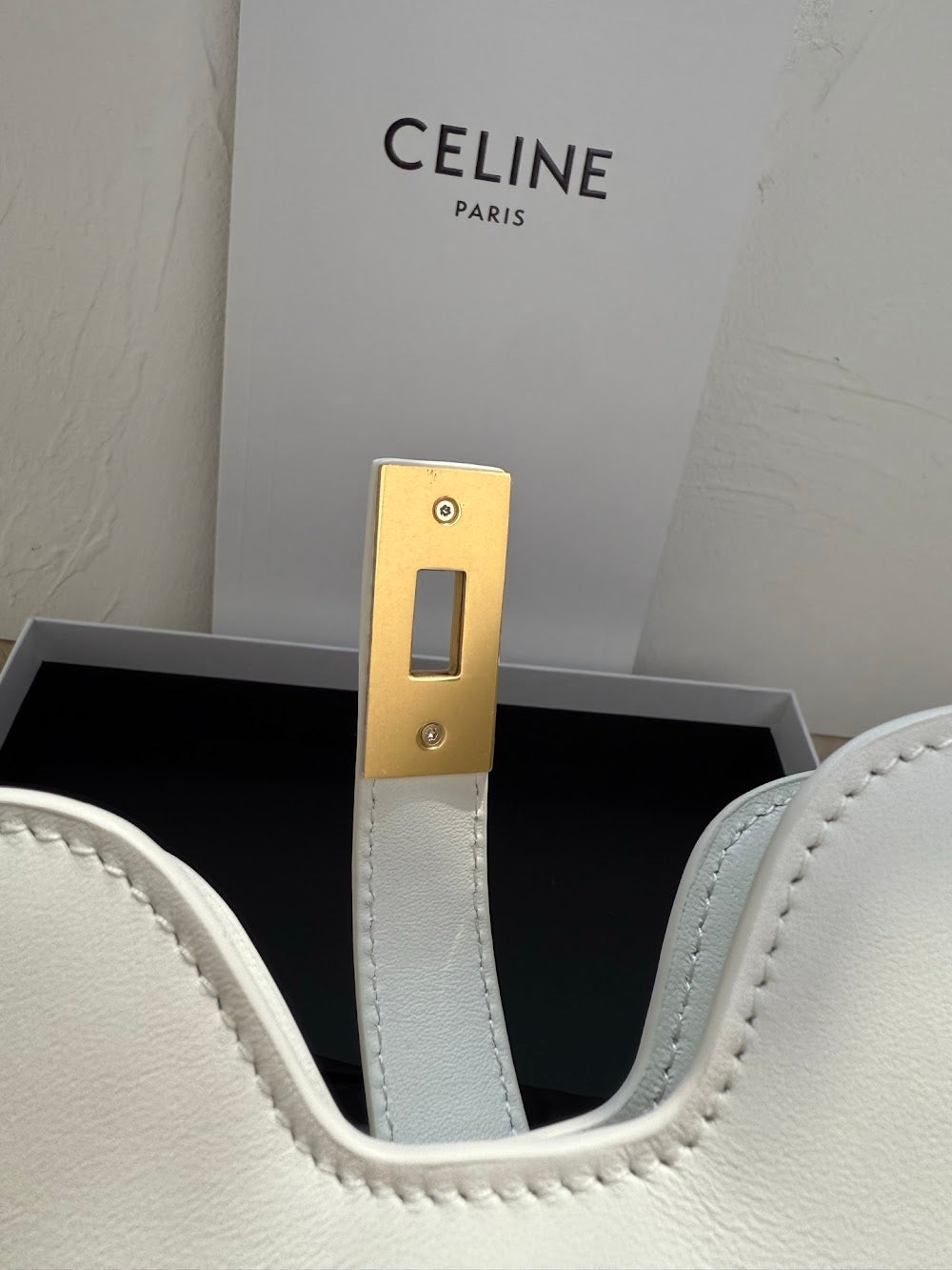 Dragons Bags Celine Luxury Bag --112433