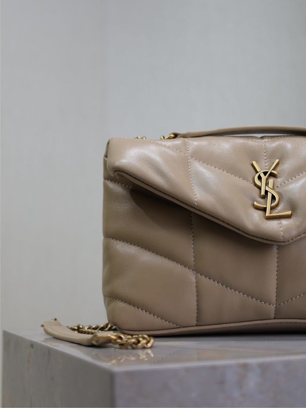 Dragons Bags YSLn Luxury Bag --119431