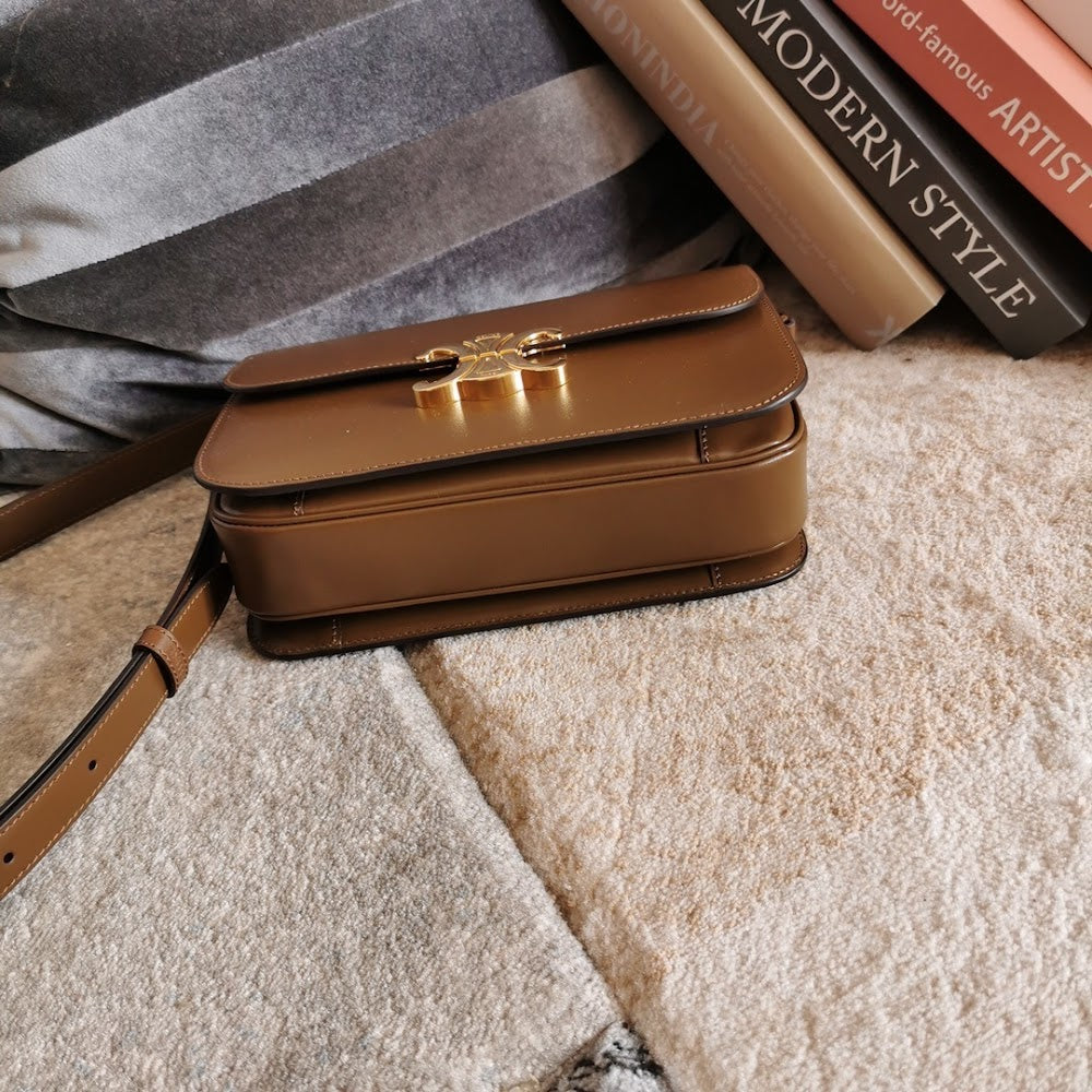 Dragons Bags Celine Luxury Bag --111985