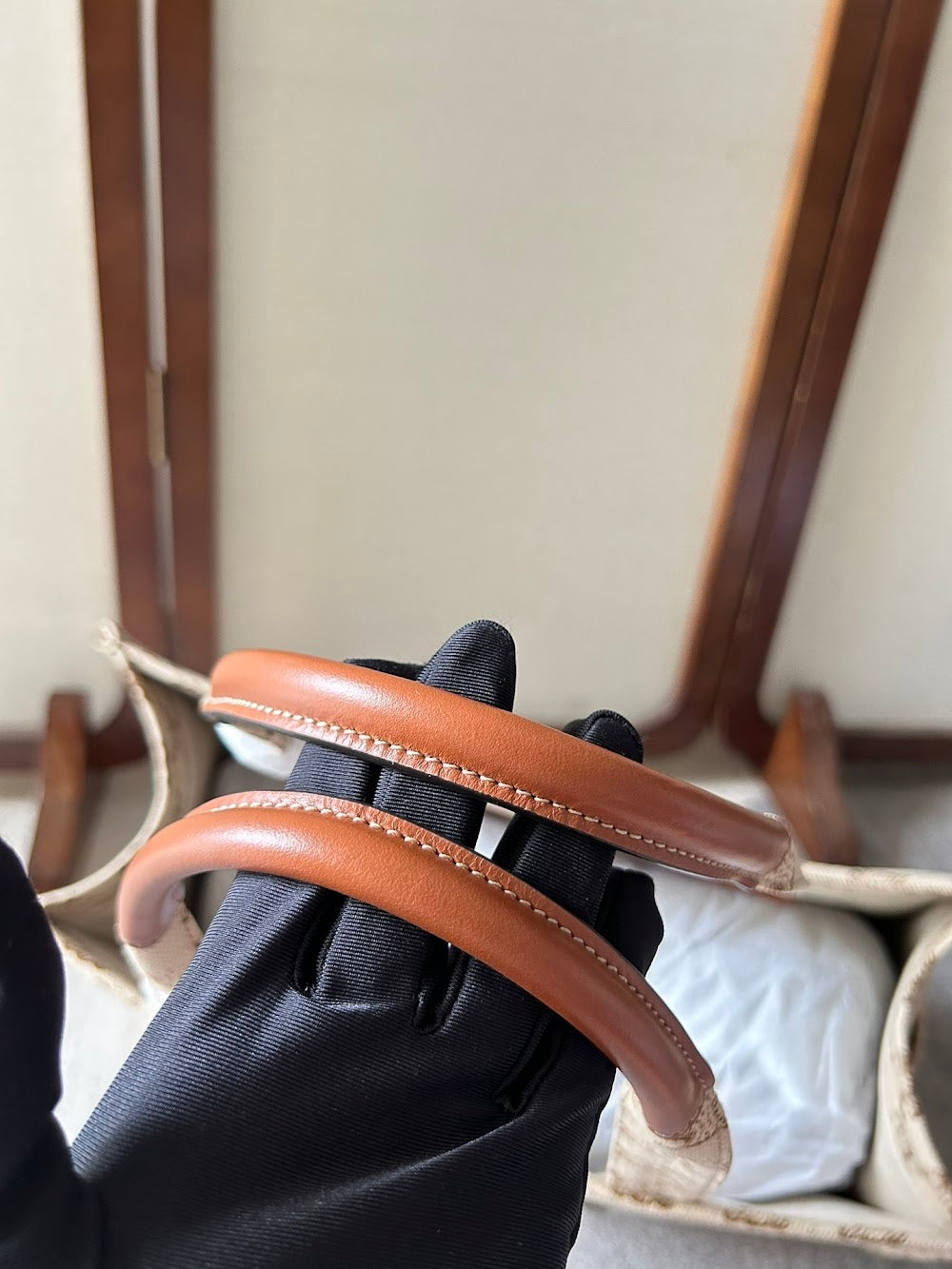 Dragons Bags Celine Luxury Bag --112218