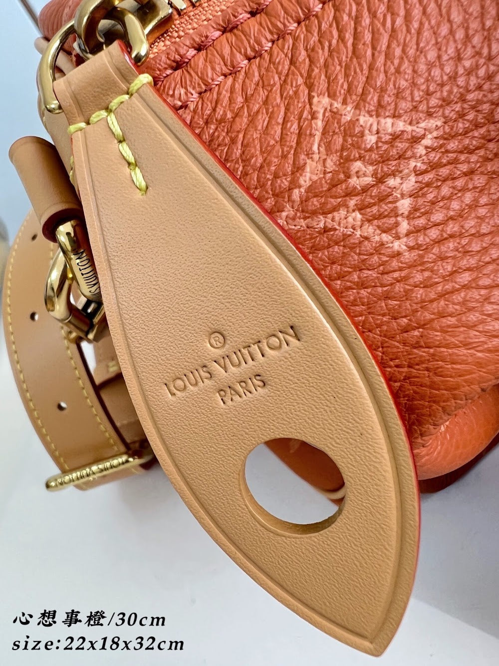 Dragons Bags ln Luxury Bag --96532