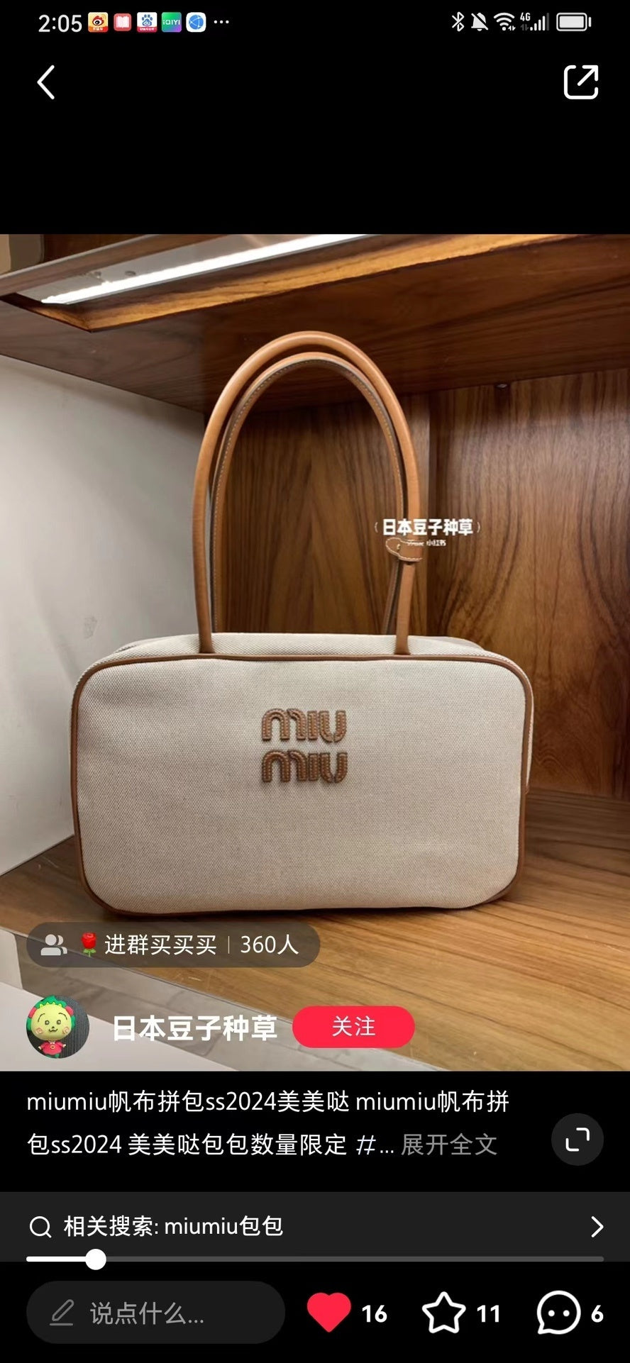 Dragons Bags Miun Miun Luxury Bag --122912