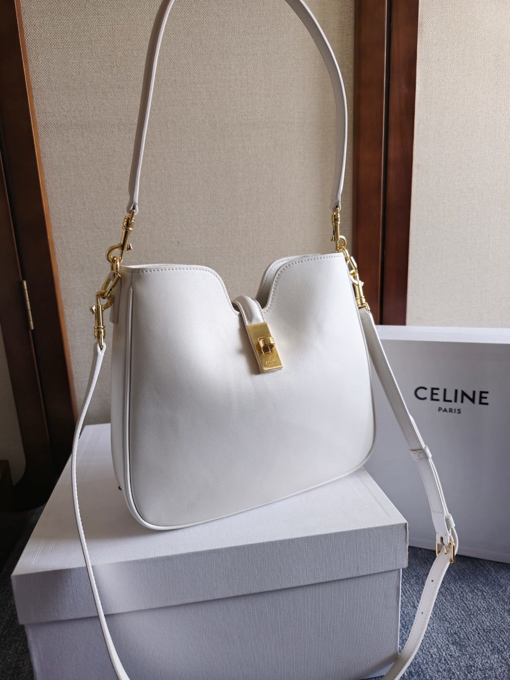 Dragons Bags Celine Luxury Bag --112208