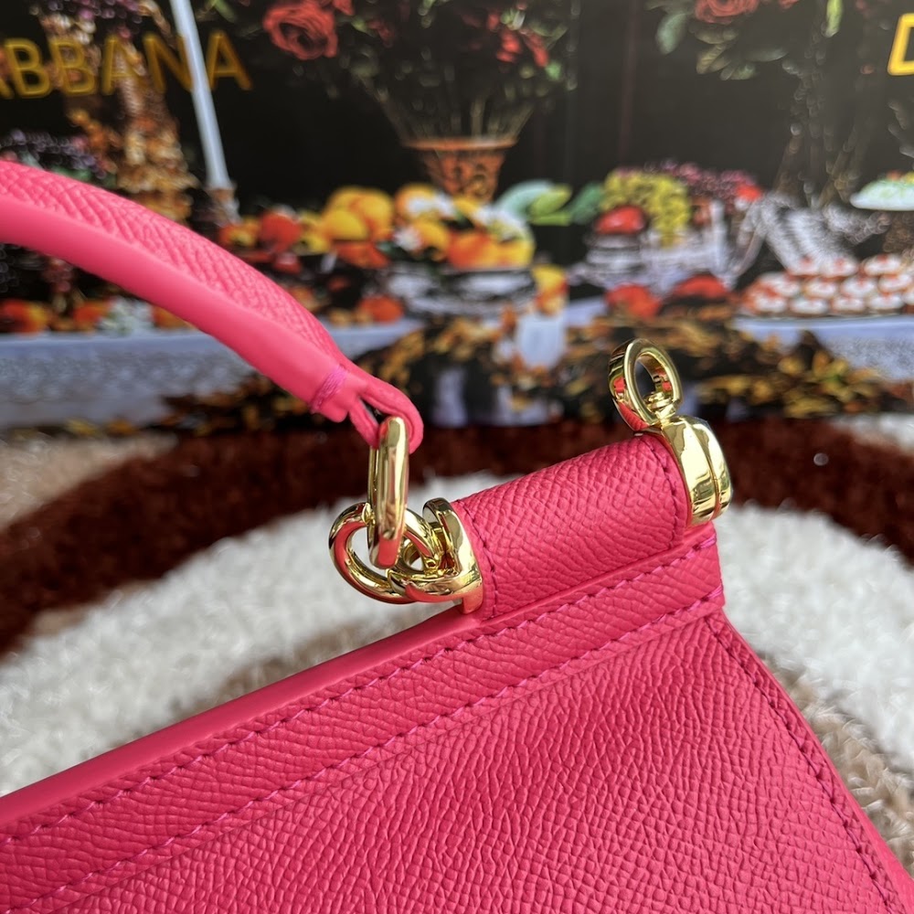 Dragons Bags DGn Luxury Bag --94020