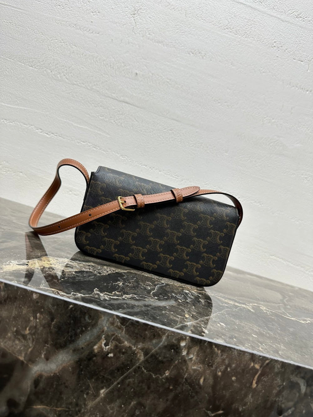 Dragons Bags Celine Luxury Bag --112428