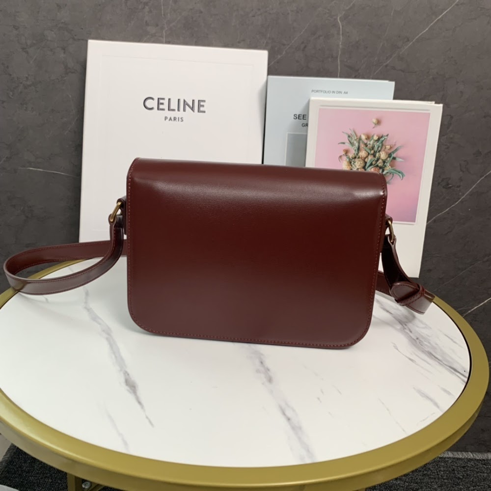 Dragons Bags Celine Luxury Bag --111993