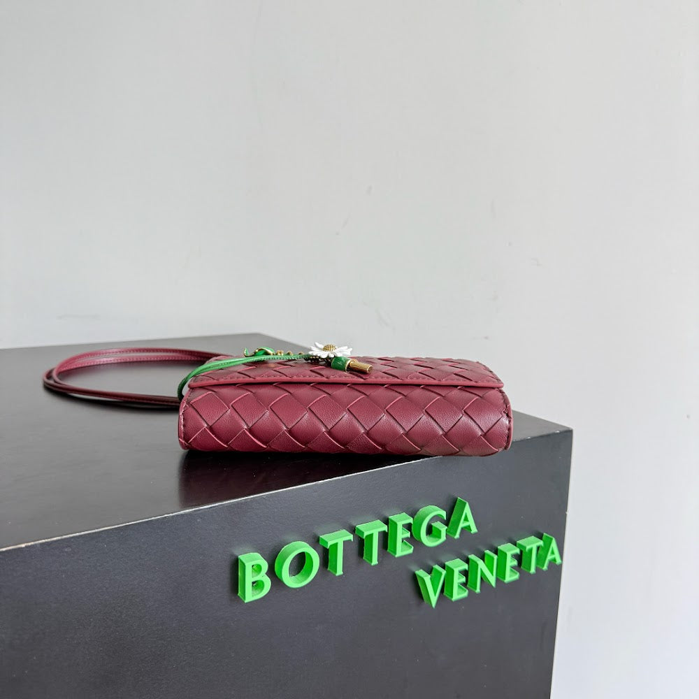 Dragons Bags Bottegan Luxury Bag --90421