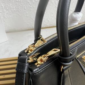 Dragons Bags Pradn Luxury Bag --101732