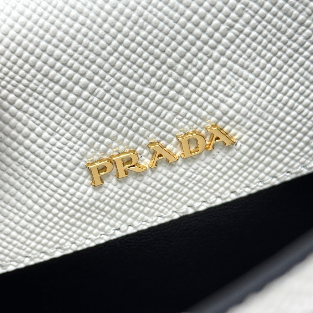 Dragons Bags Pradn Luxury Bag --102203