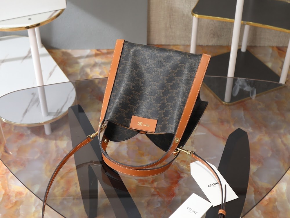 Dragons Bags Celine Luxury Bag --112656
