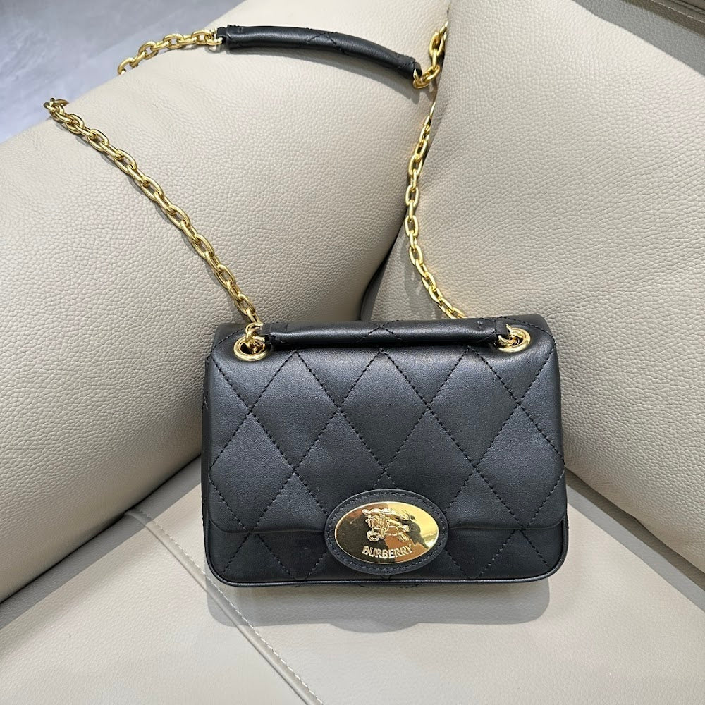 Dragons Bags Burberryn Luxury Bag --92321
