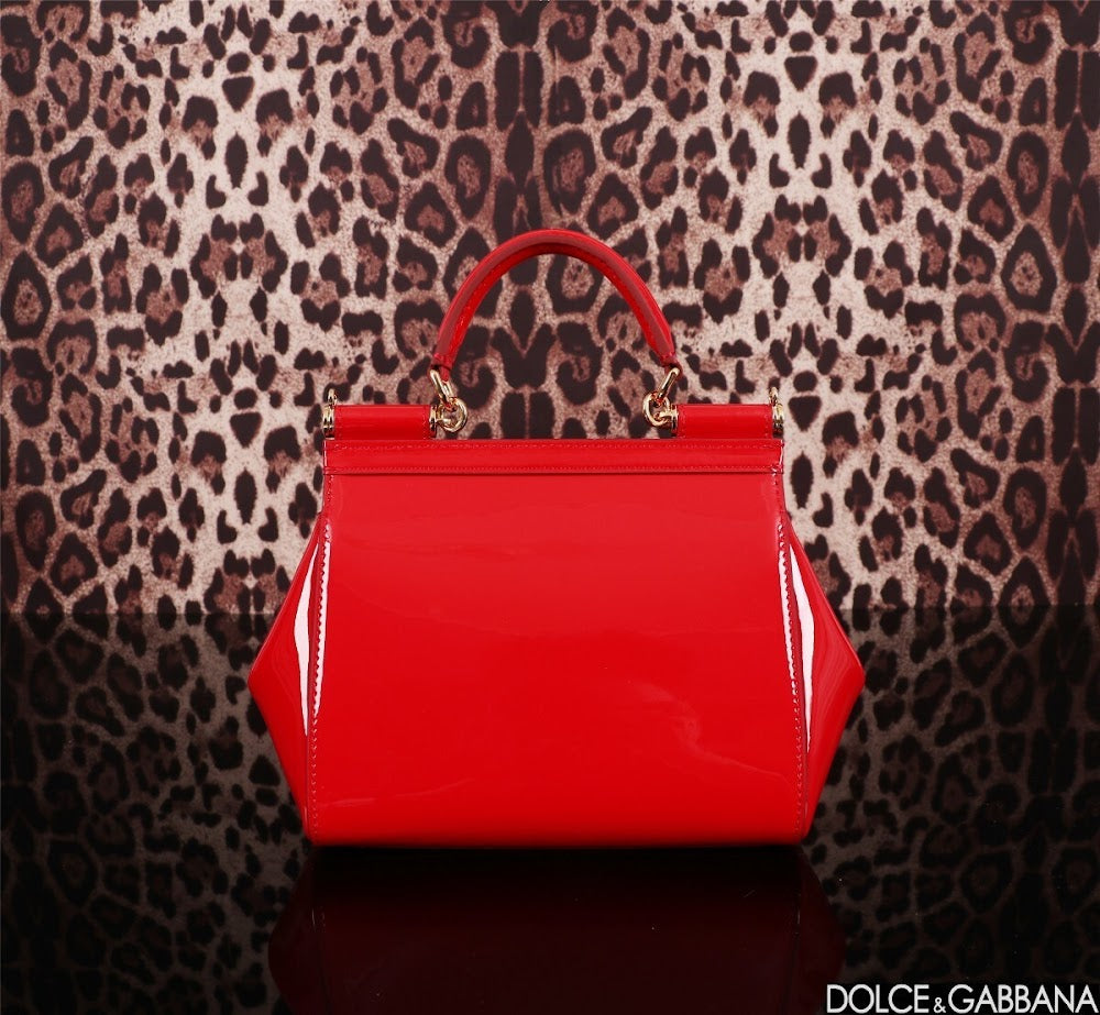 Dragons Bags DGn Luxury Bag --93636