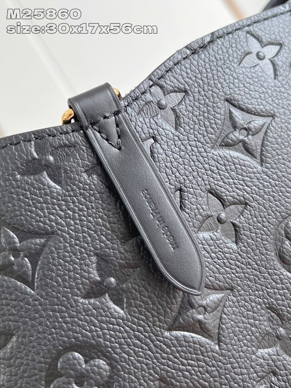 Dragons Bags ln Luxury Bag --96863