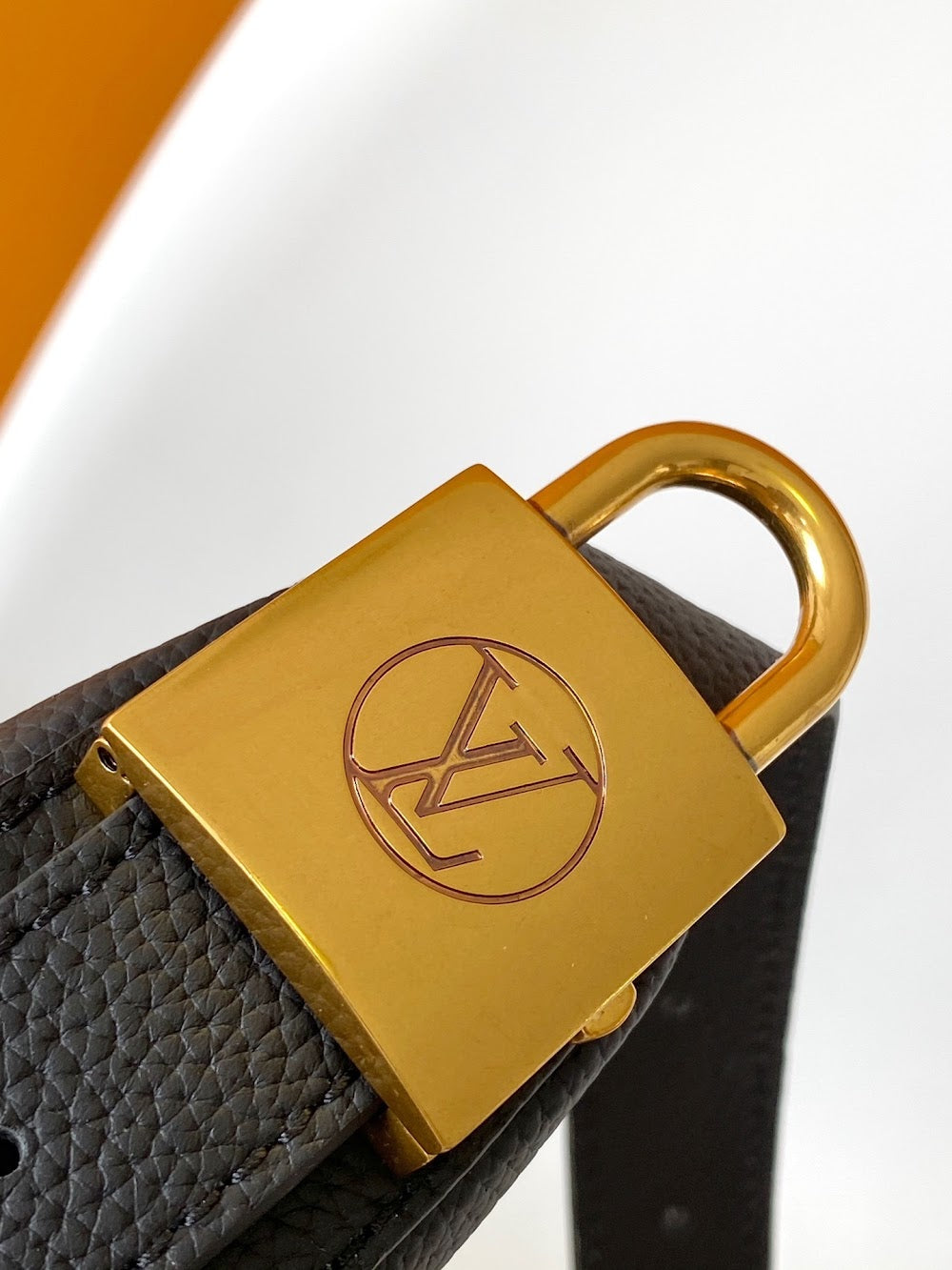 Dragons Bags LVn Luxury Bag --80204