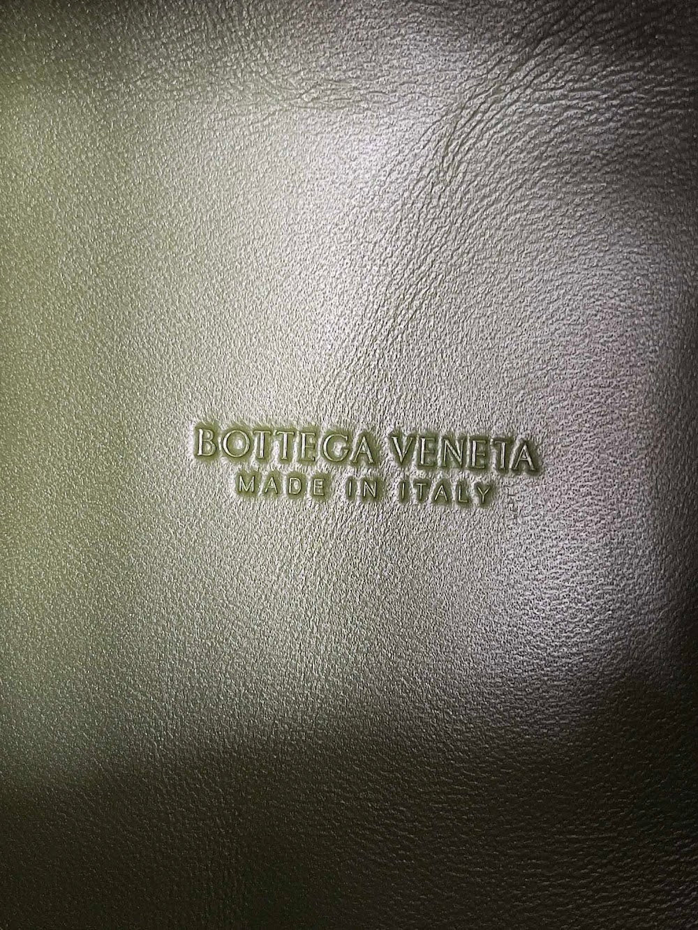 Dragons Bags Bottegan Luxury Bag --91100