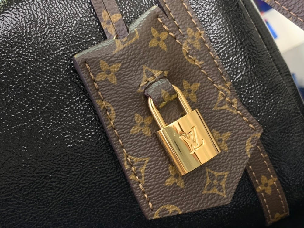 Dragons Bags ln Luxury Bag --96736