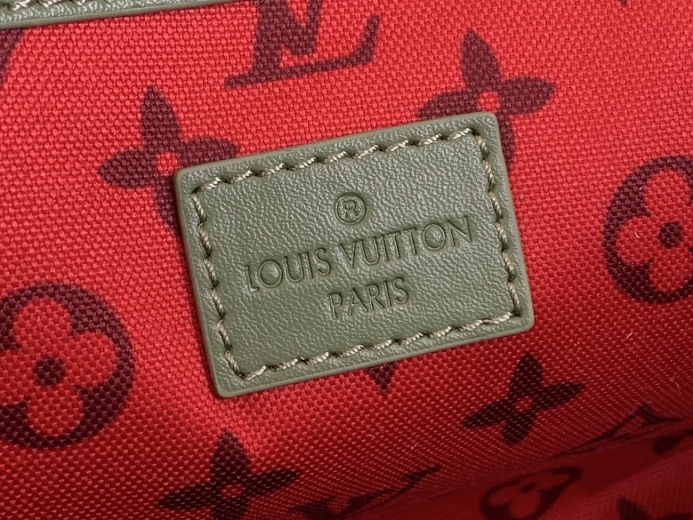 Dragons Bags ln Luxury Bag --68622