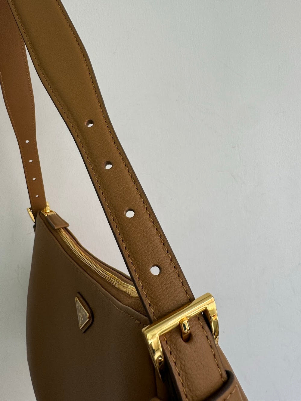 Dragons Bags Pradn Luxury Bag --102554