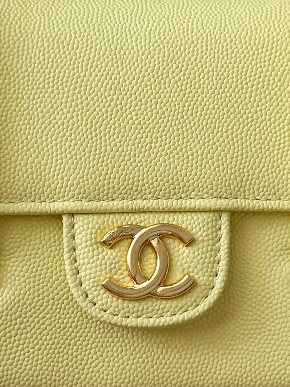 Dragons BagsCHn Luxury Bag --114054