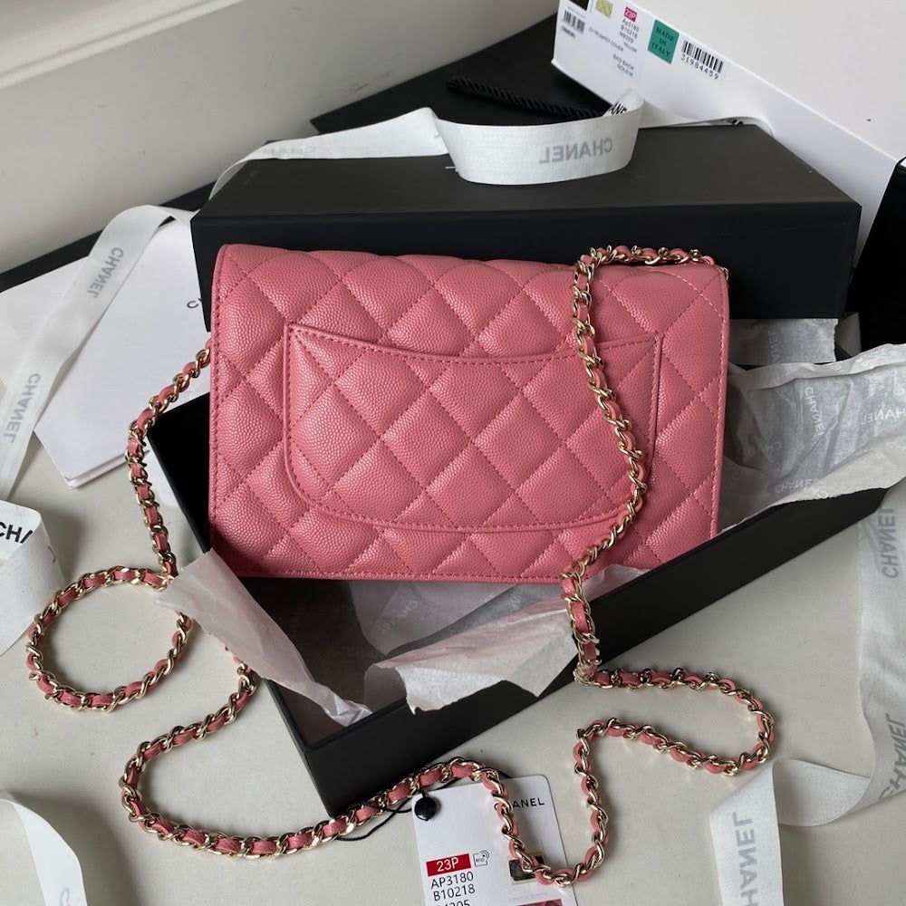 new-luxury-designer-bags-nm10042