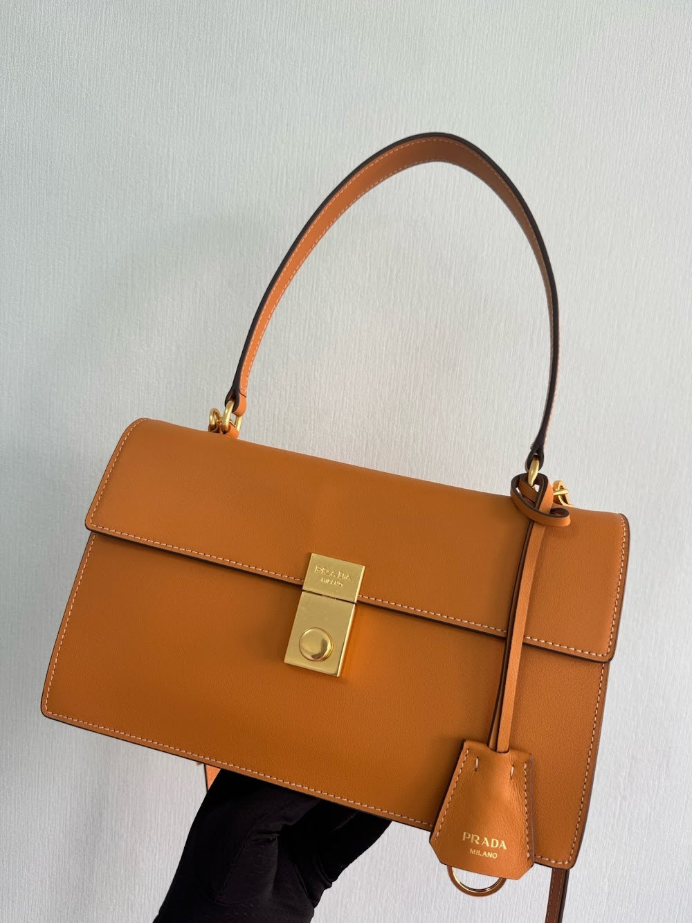 Dragons Bags Pradn Luxury Bag --102541