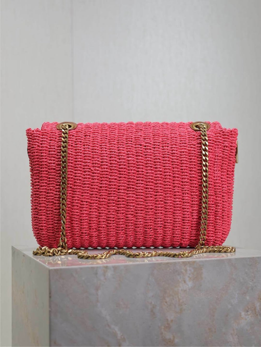 Dragons Bags YSLn Luxury Bag --120231