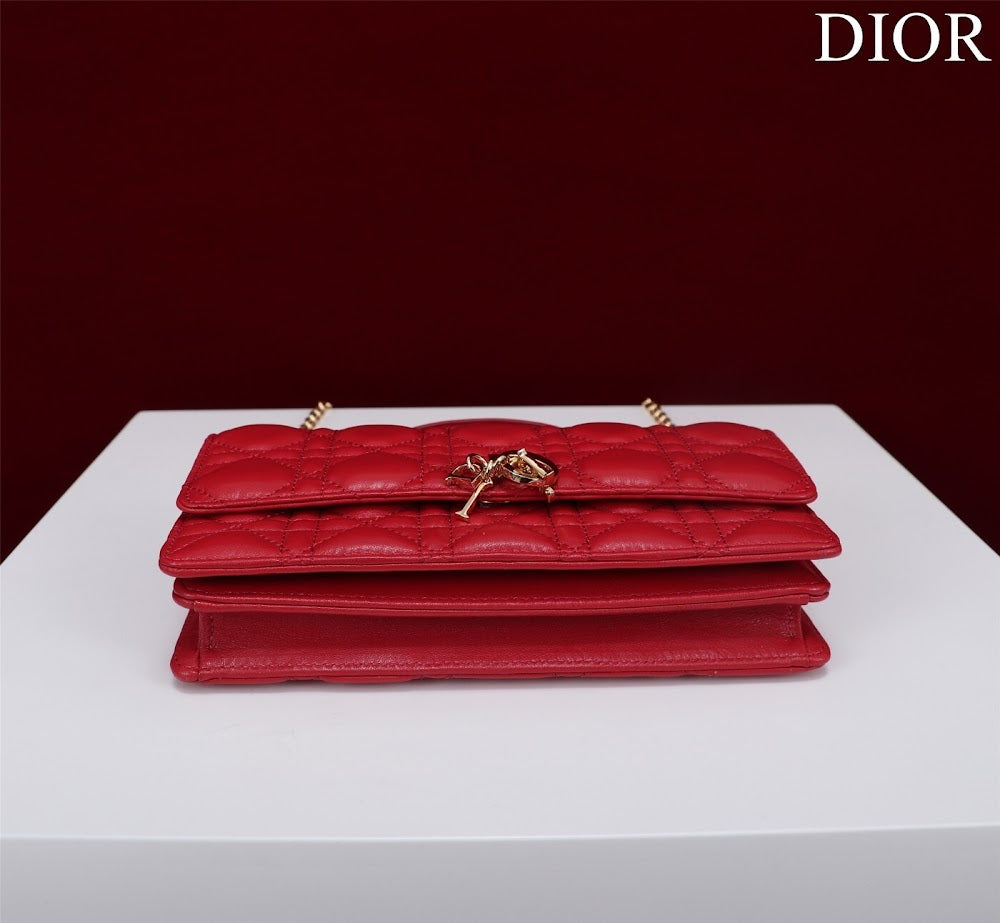 Dragons BagsDiorn Luxury Bag --116231