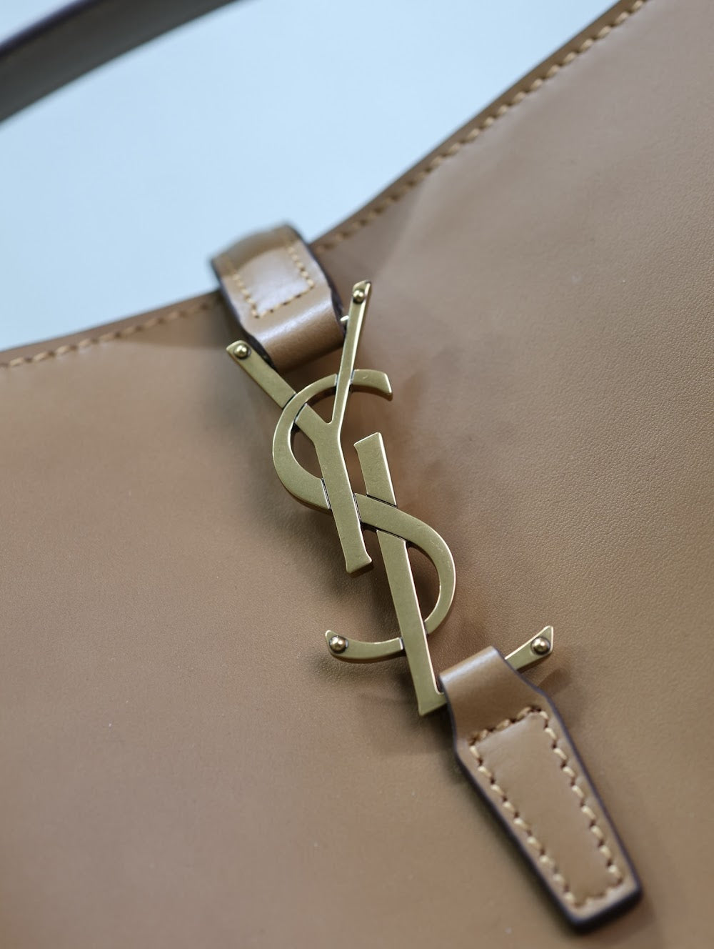 Dragons Bags YSLn Luxury Bag --119471