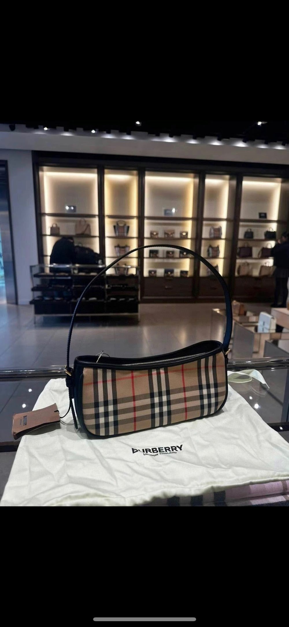 Dragons Bags Burberryn Luxury Bag --92058
