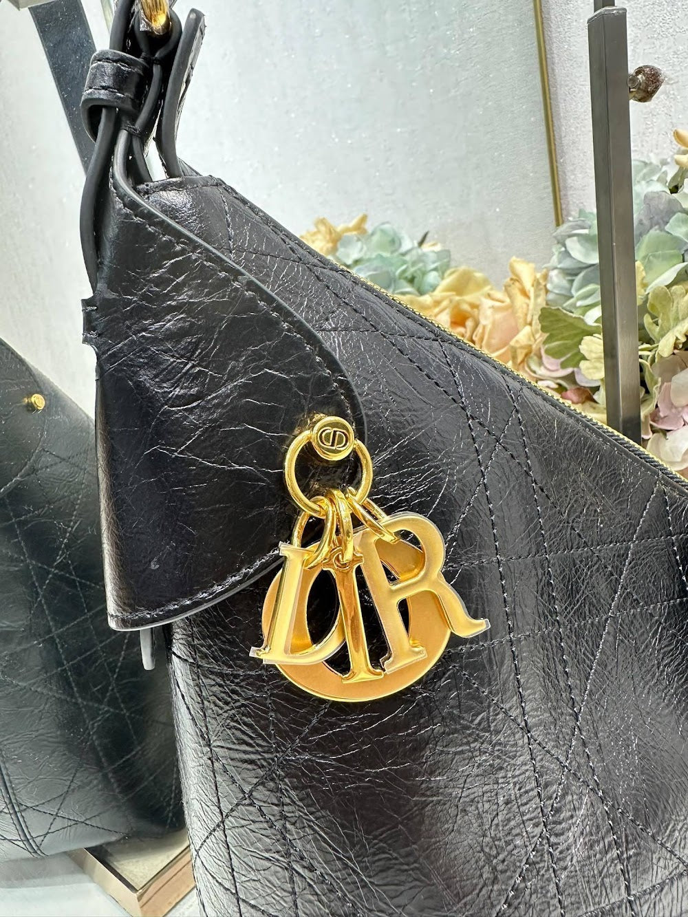 Dragons BagsDiorn Luxury Bag --115519