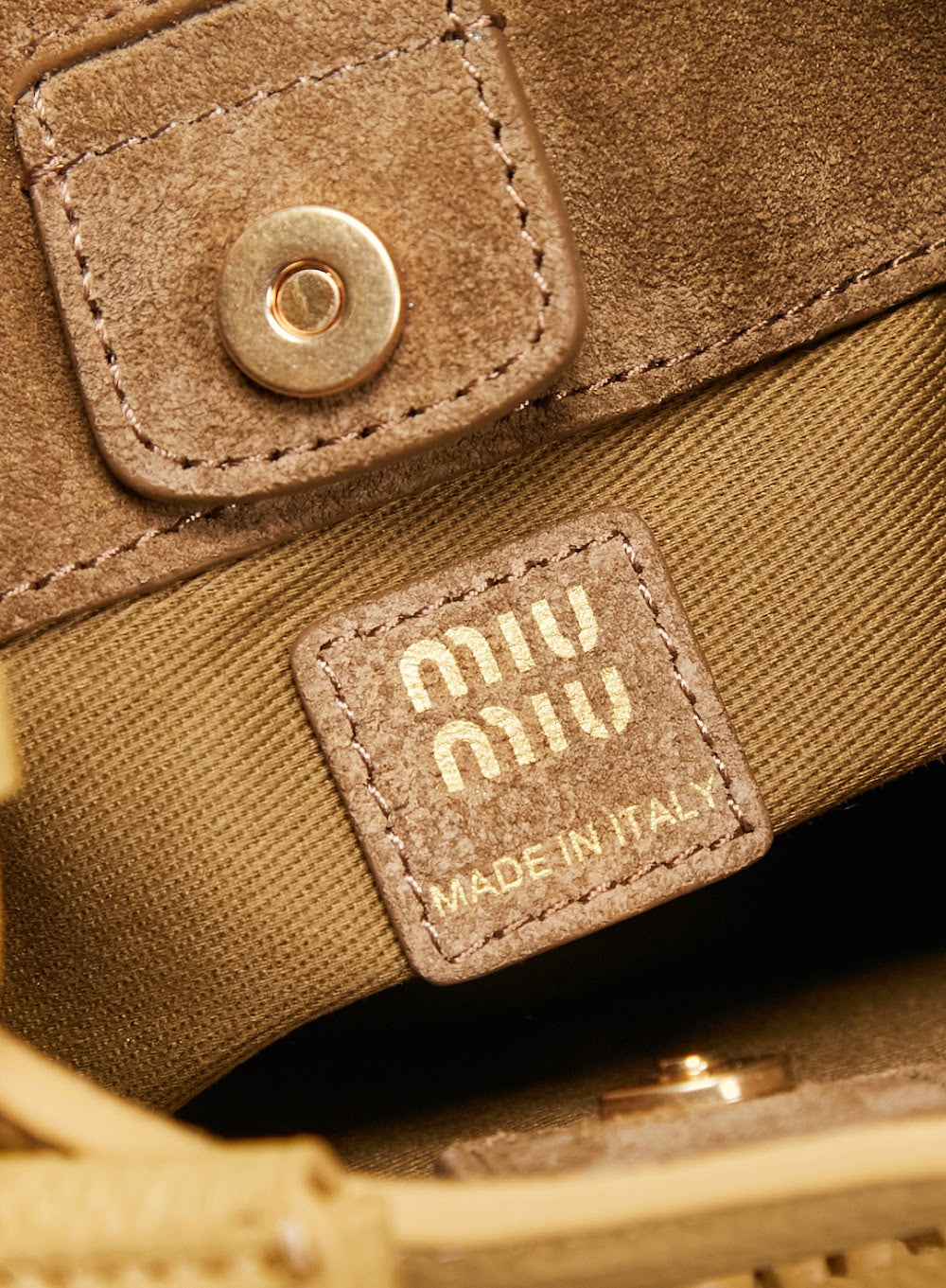 Dragons Bags Miun Miun Luxury Bag --123159