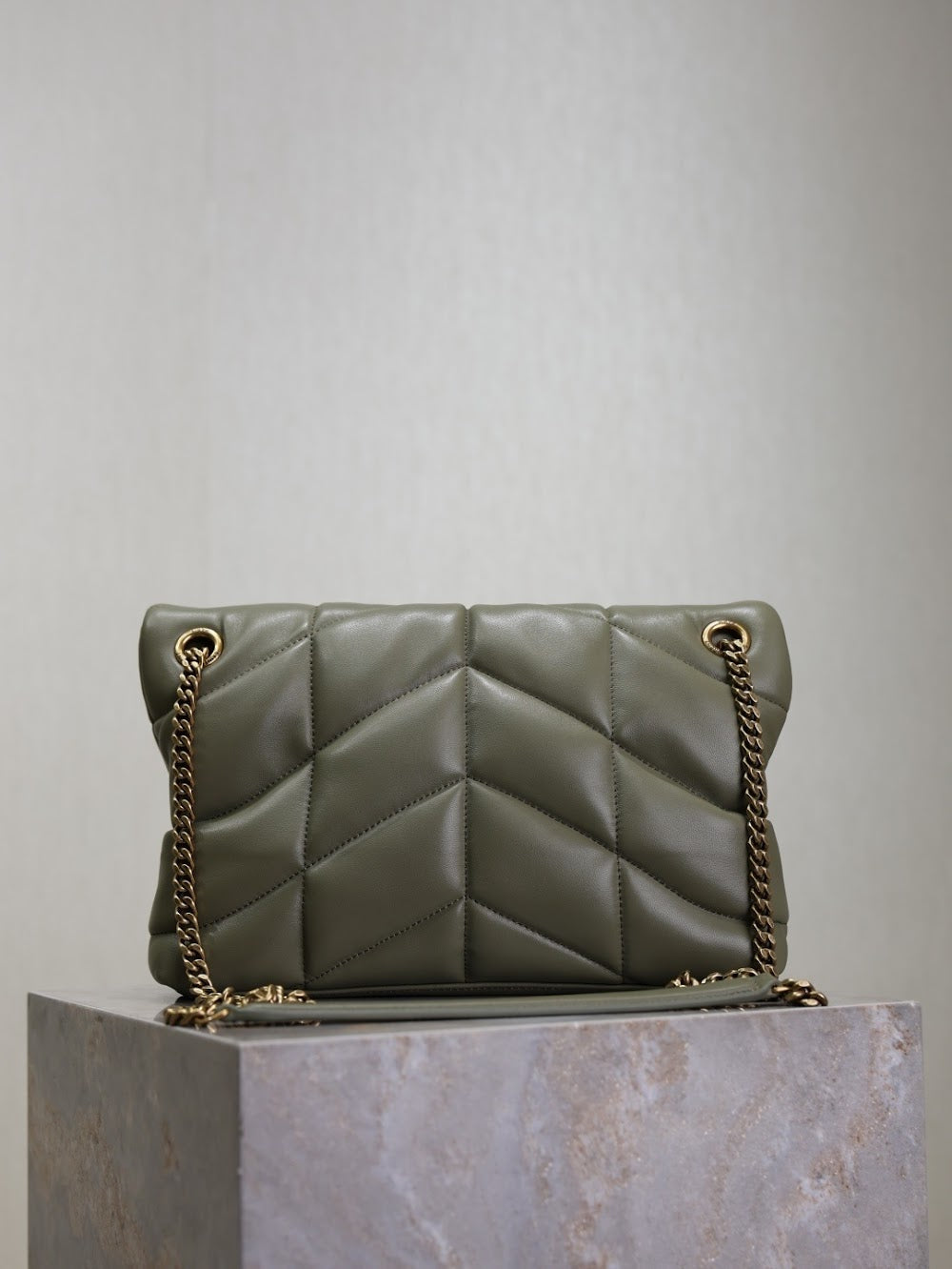 Dragons Bags YSLn Luxury Bag --119445