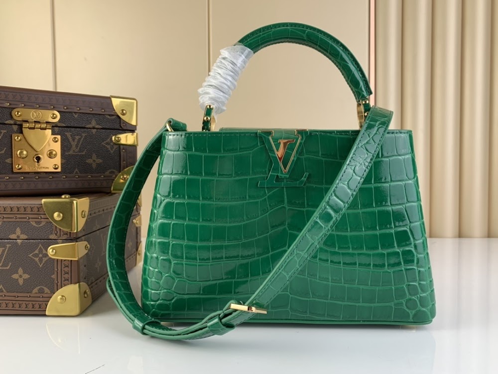 Dragons Bags ln Luxury Bag --67344