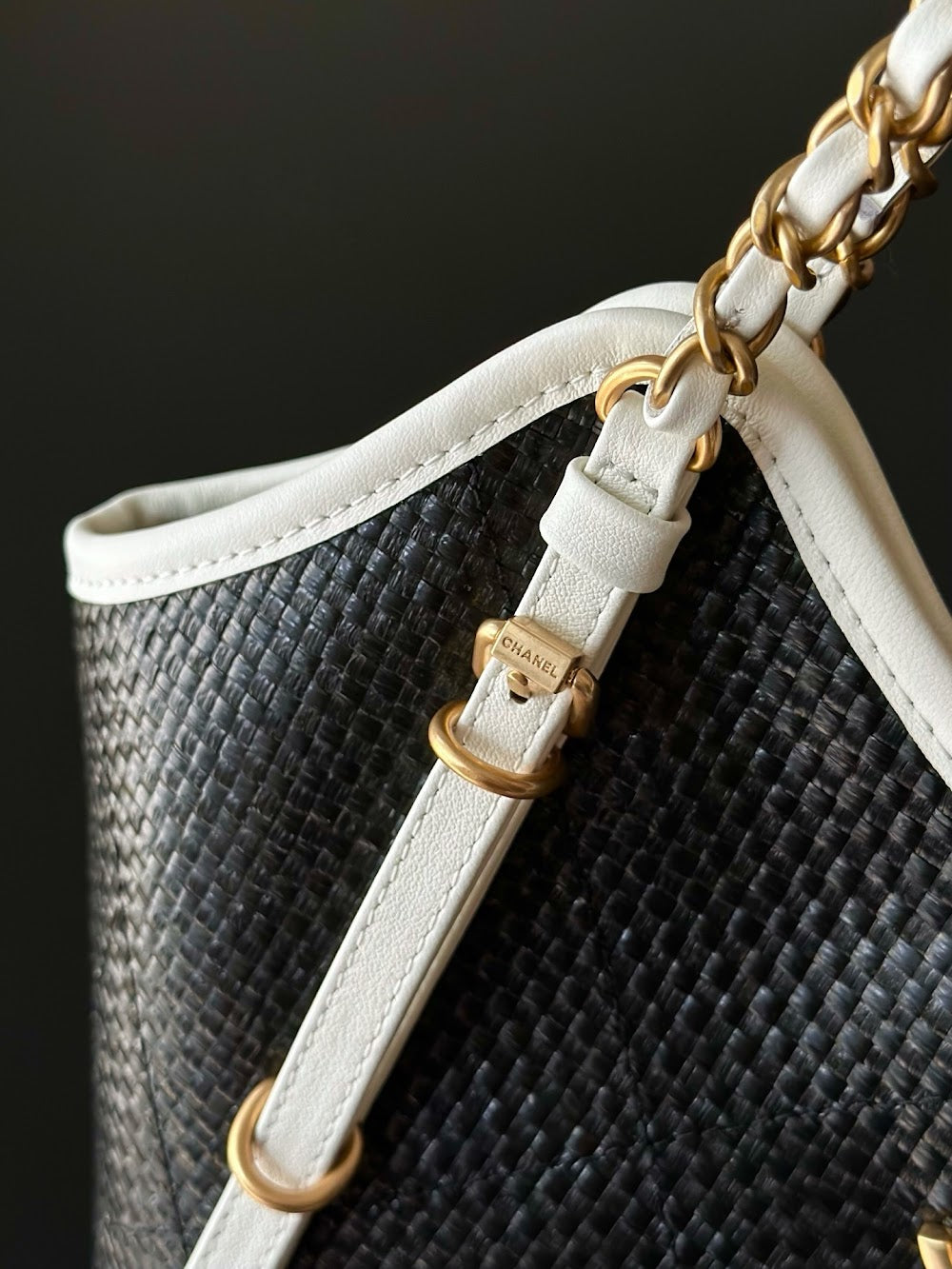 Dragons BagsCHn Luxury Bag --114226