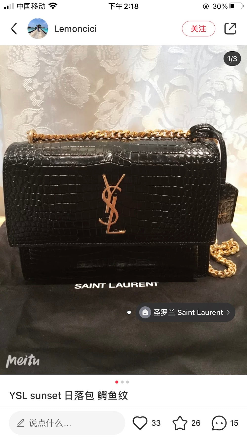 Dragons Bags YSLn Luxury Bag --119961